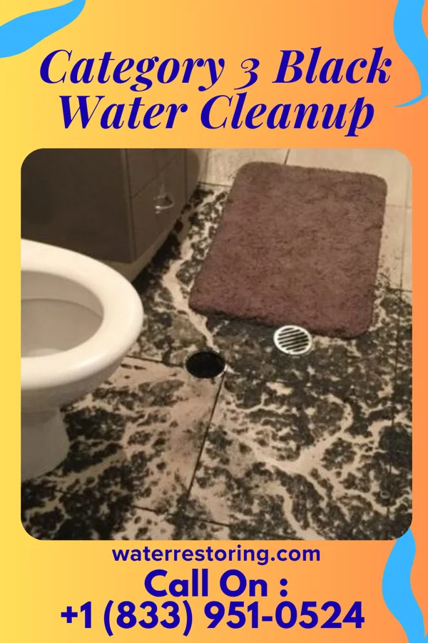 Category 3 Black Water Cleanup in Taneytown, MD