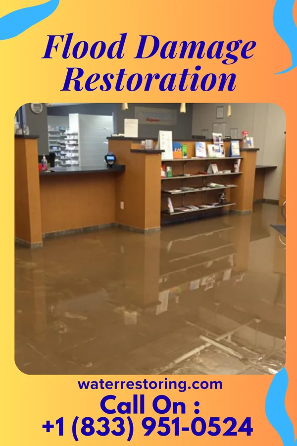 Flood Damage Restoration in Taneytown, MD
