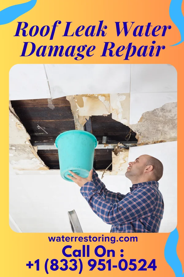 Roof Leak Water Damage Repair in Taneytown, MD