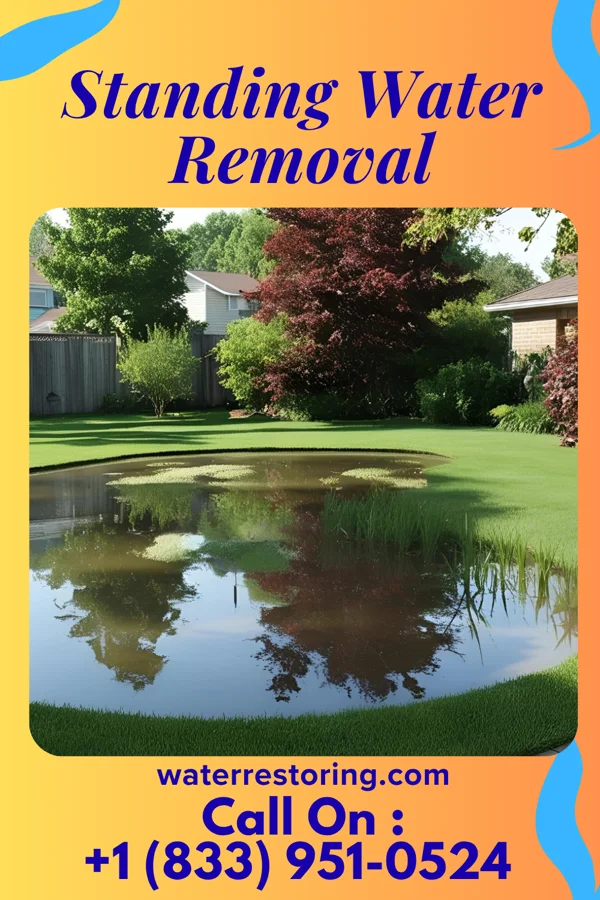 Standing Water Removal in Taneytown, MD